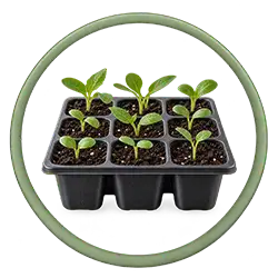 categoría macetas y jardín en tienda online abonica